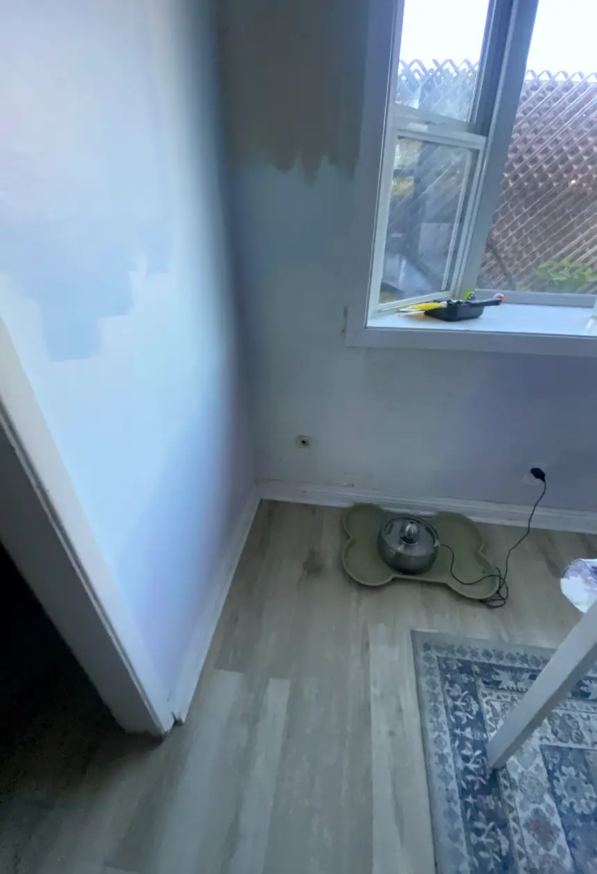 Hole in drywall patched and skimmed smooth with no visible seams, wall now flat and evenly lit with natural light.